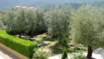 Vista al jardín