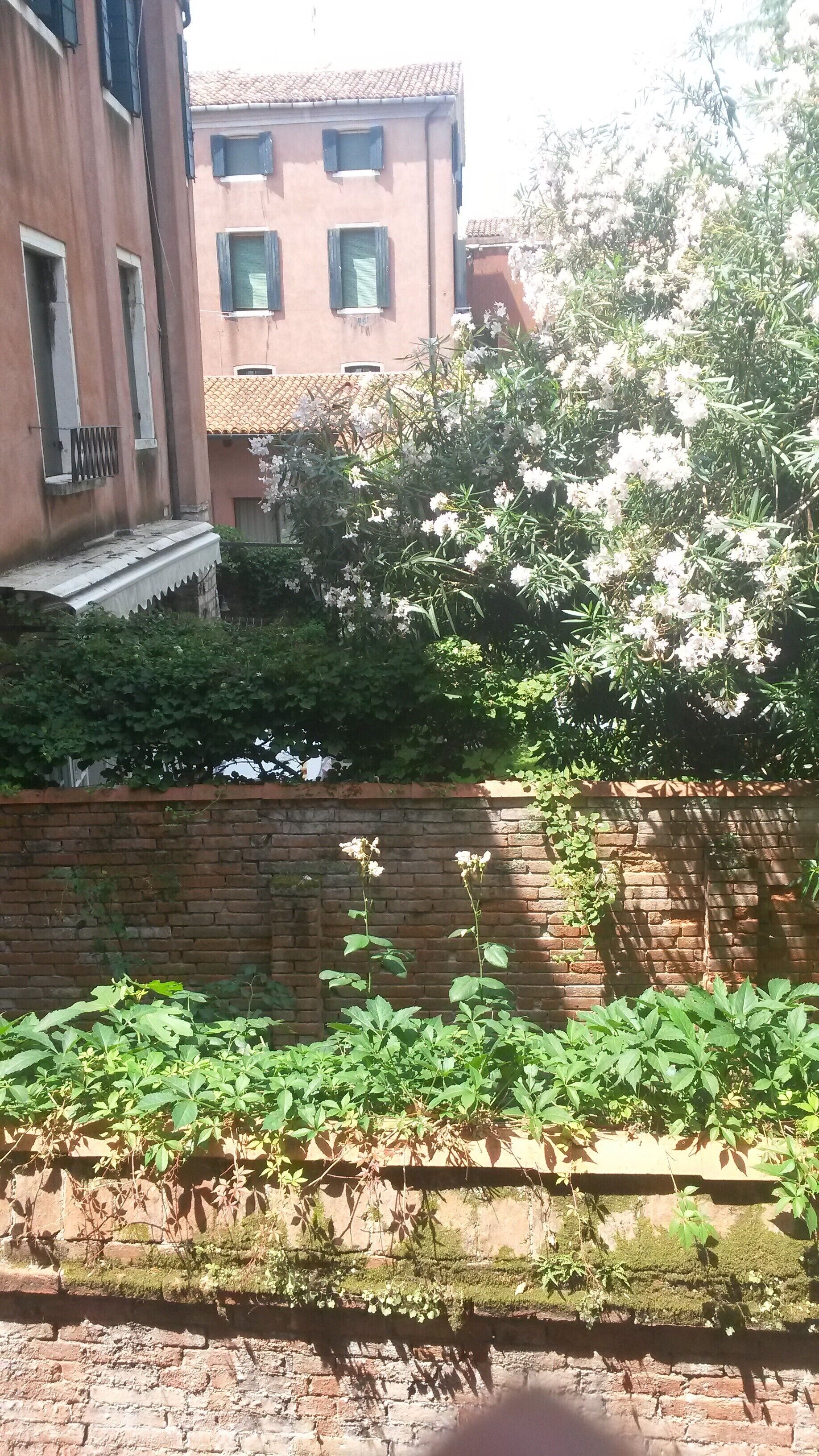 Foto - Locanda Ca' del Brocchi