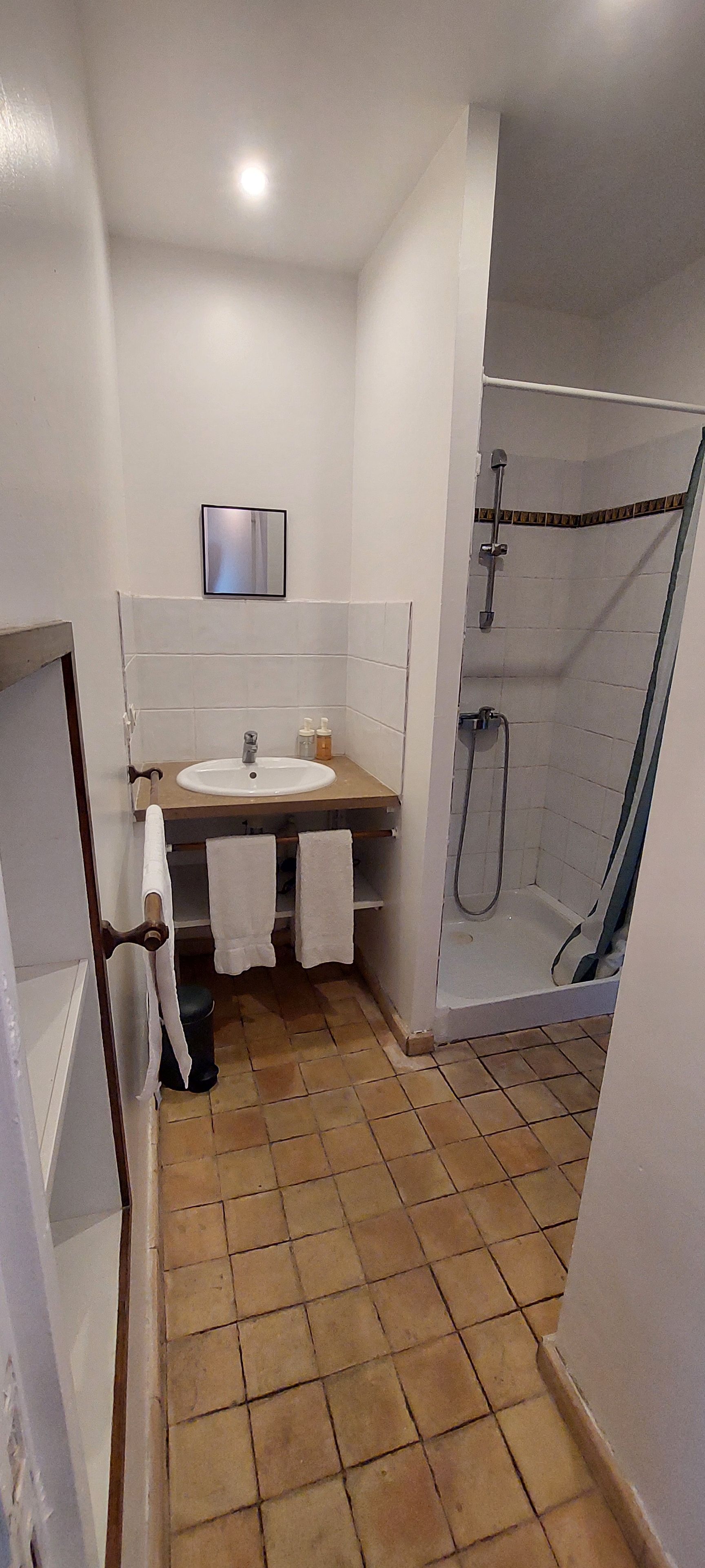 Une petite salle de bain avec un lavabo, un miroir et une douche.