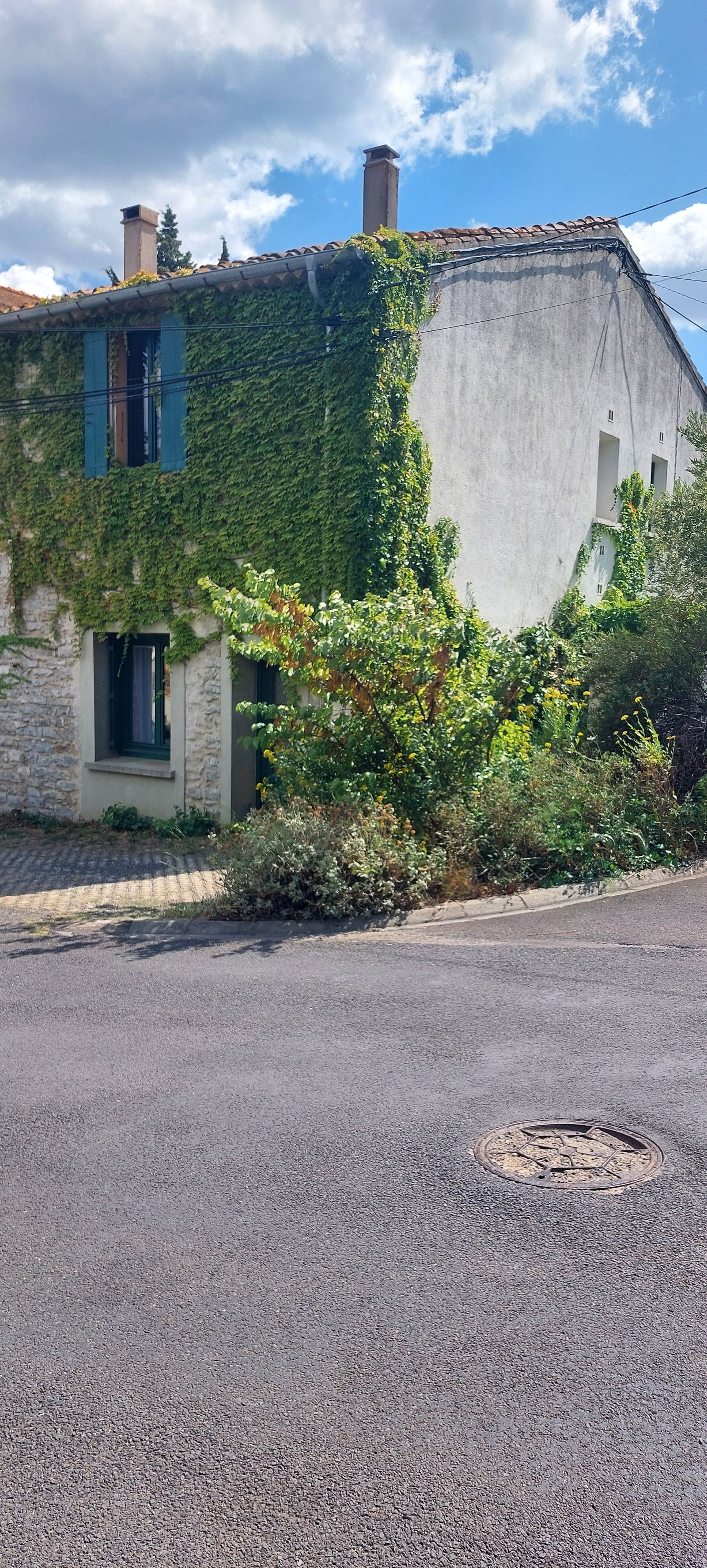 Un bâtiment à la façade en pierre, partiellement recouverte de lierre vert, une route pavée au premier plan et un ciel dégagé.
