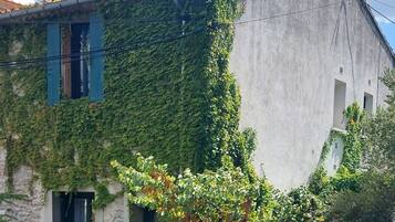 Un bâtiment à la façade en pierre, partiellement recouverte de lierre vert, une route pavée au premier plan et un ciel dégagé.