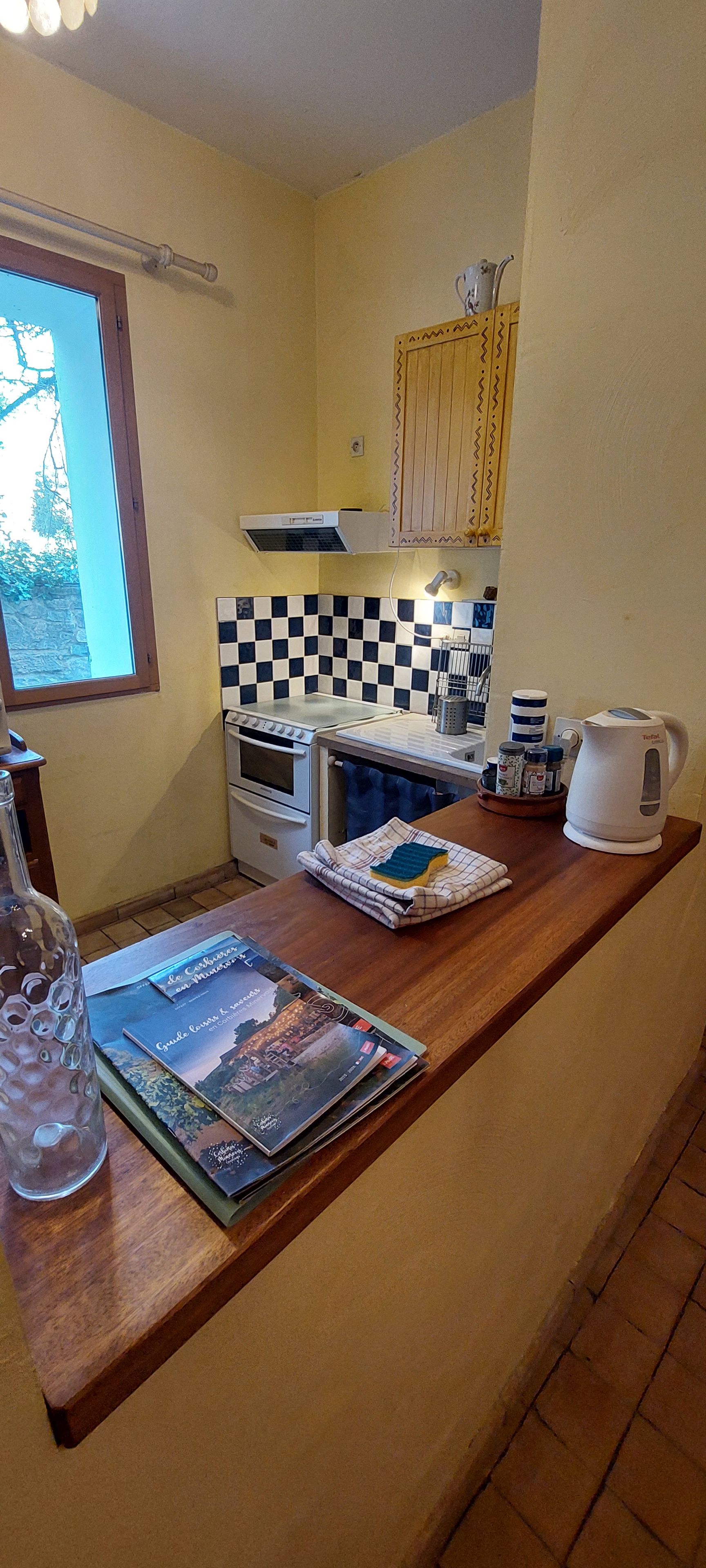 Een keuken met een geruit spatwand, een fornuis, een waterkoker en een raam met uitzicht op groen.