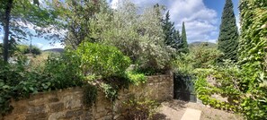 A stone wall with dense foliage and a metal gate. - Mas Montluzia (Cascastel-des-Corbieres)