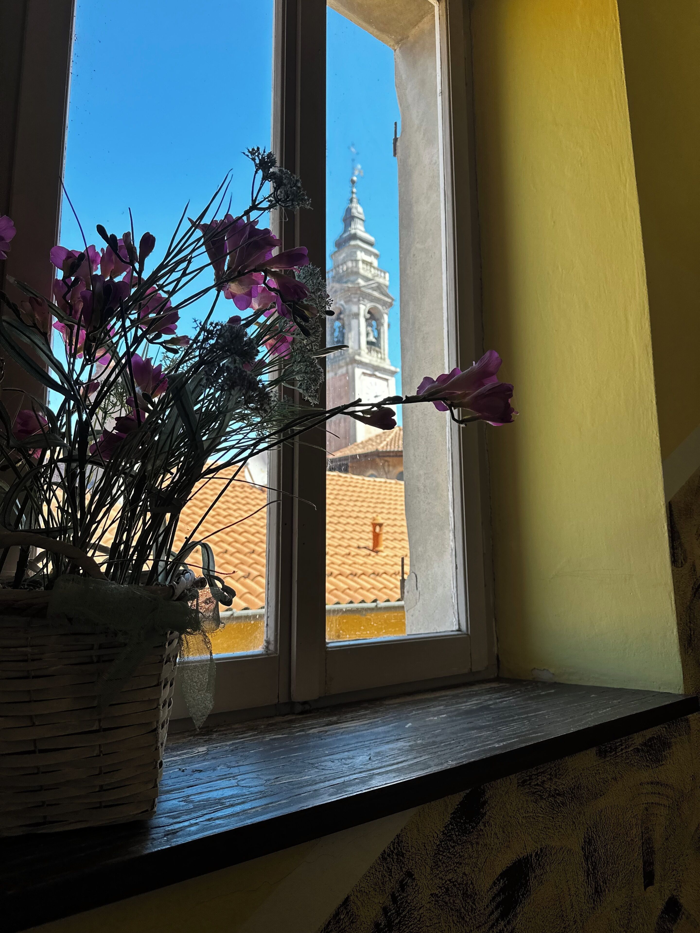 A window with a view of a building with a bell tower, a potted plant with purple flowers, and a yellow wall.
