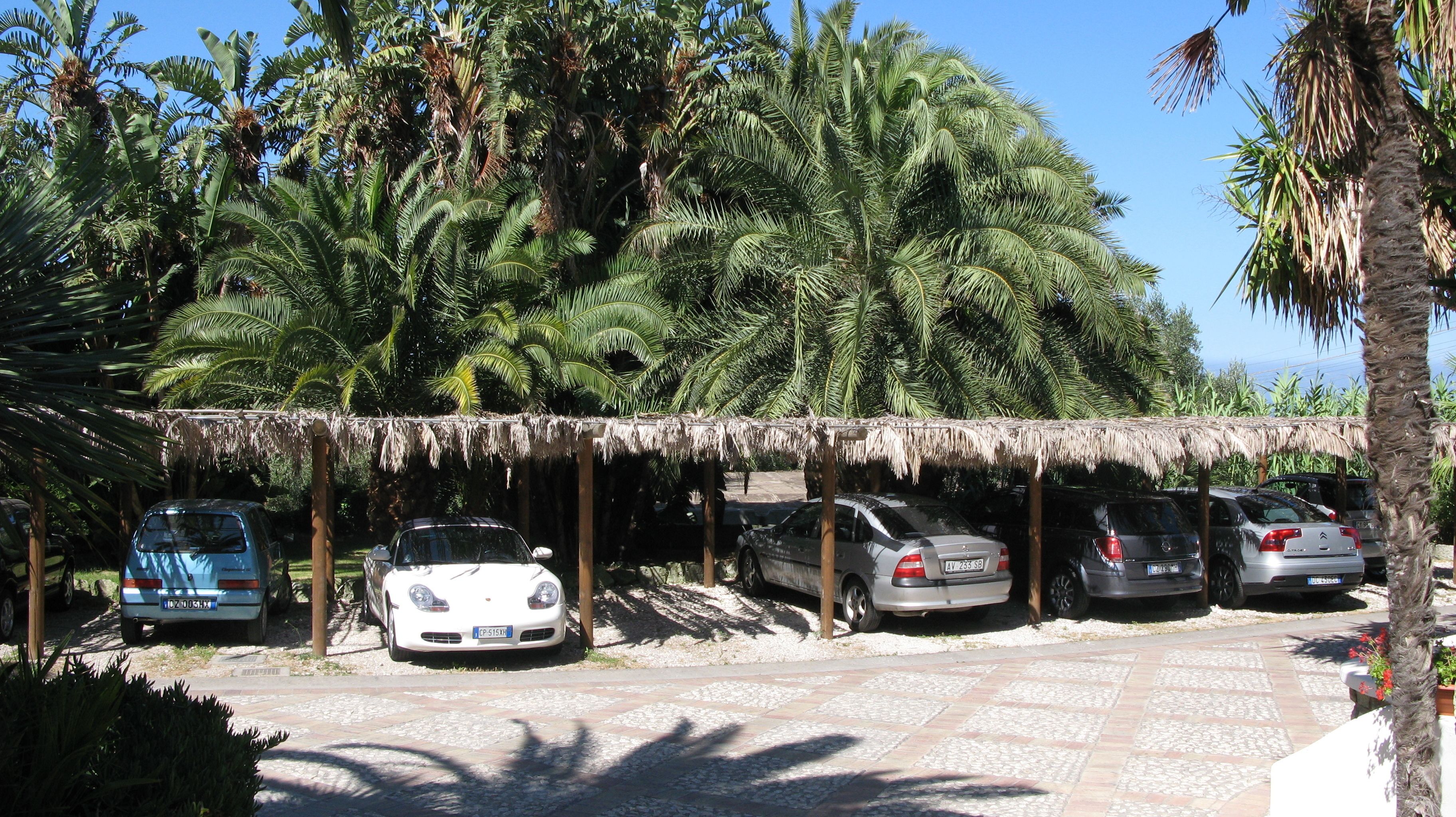 A parking area with several cars, a thatched-roof structure, and palm trees.