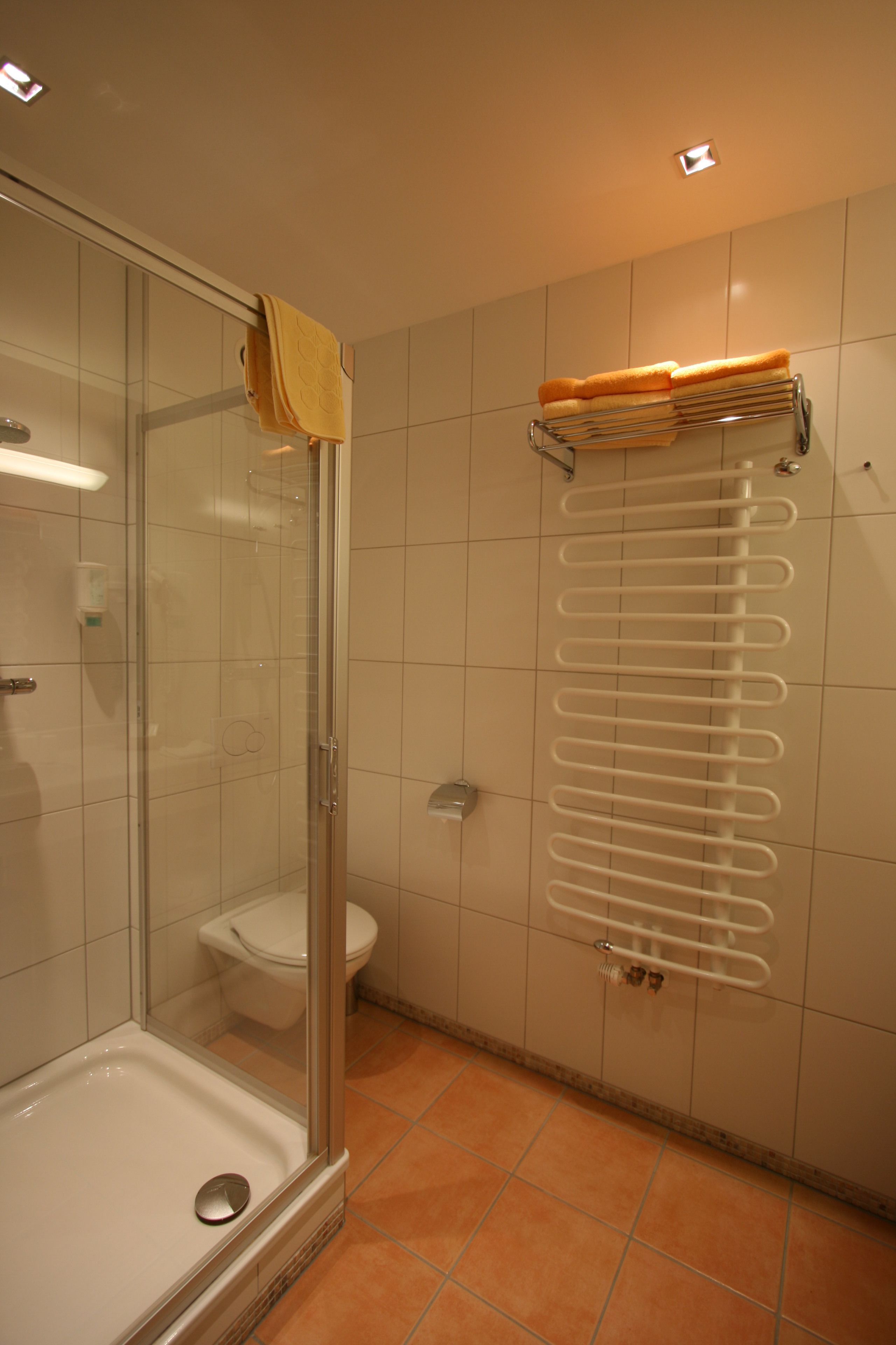 A bathroom with a glass-enclosed shower, a toilet, and a towel rack with folded towels.