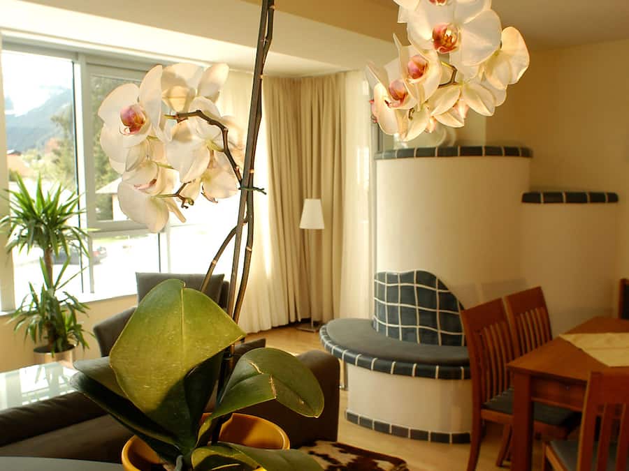 Standard Apartment (Typ A) | Living area