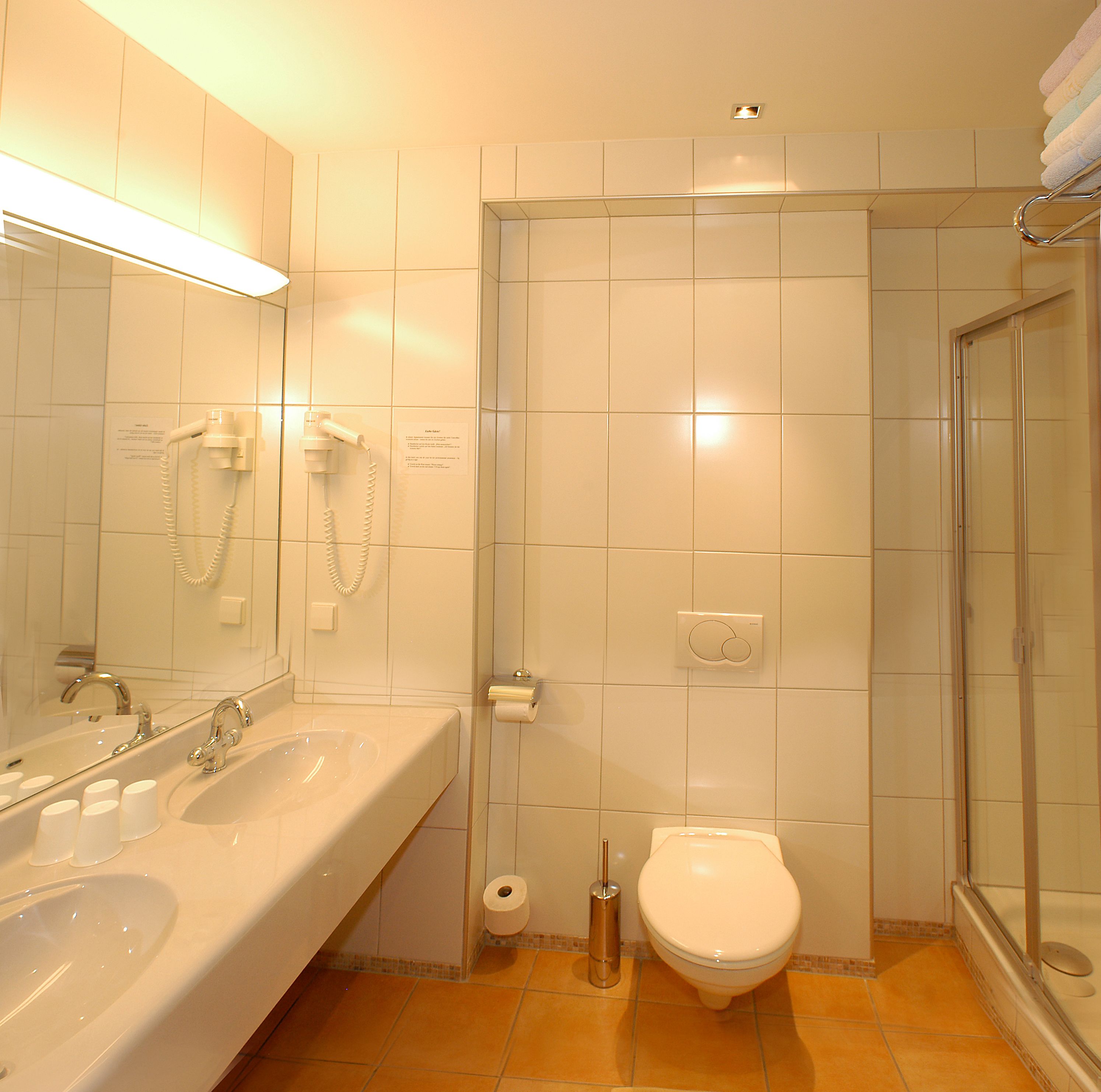 standard apartment (typ b) | bathroom shower