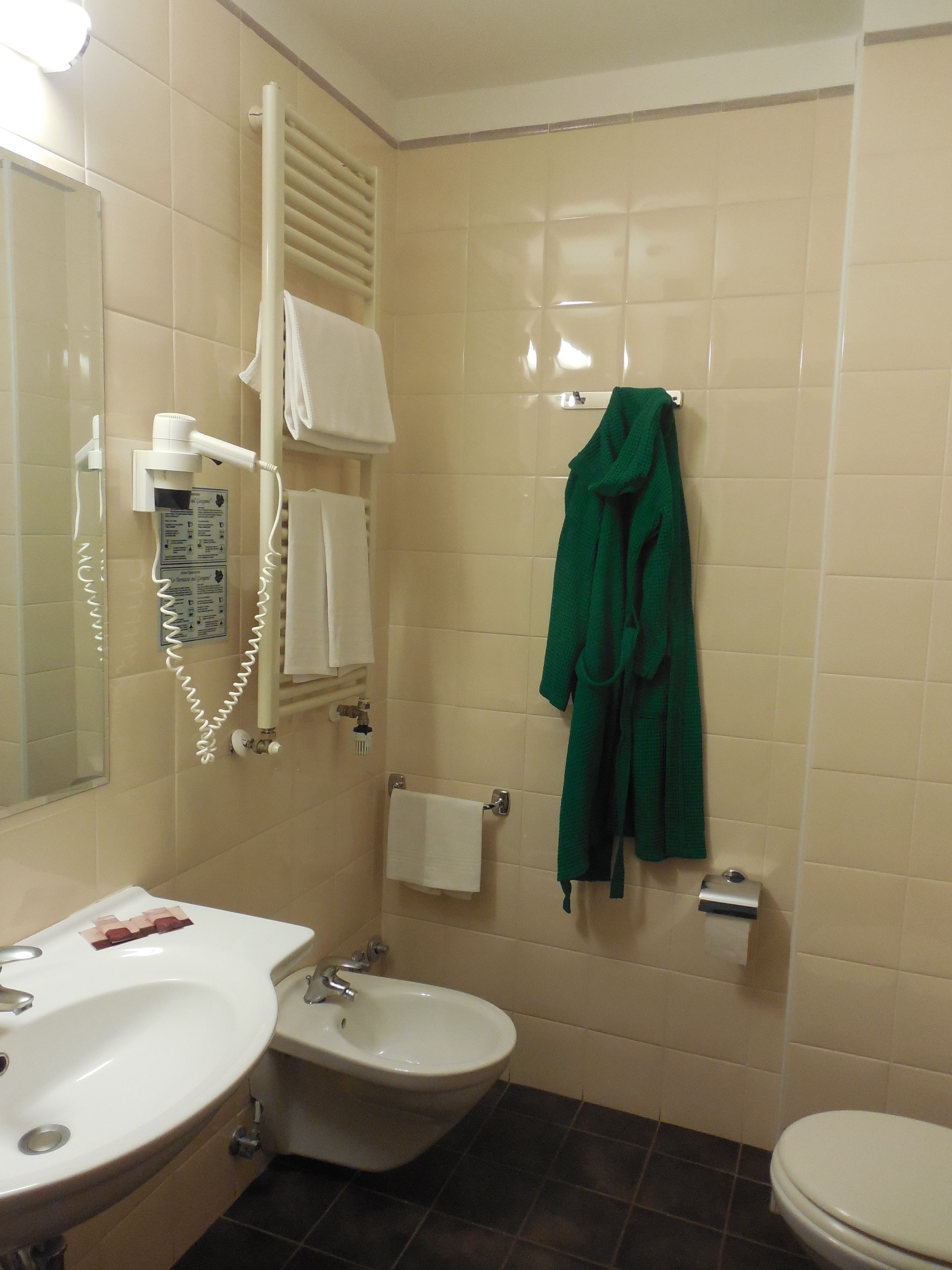 standard double room | bathroom | shower, hair dryer, bidet