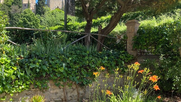 A garden with a stone wall, various plants, and a tree. - Villa Porta all'Arco (Volterra)