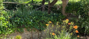 Villa Porta all'Arco