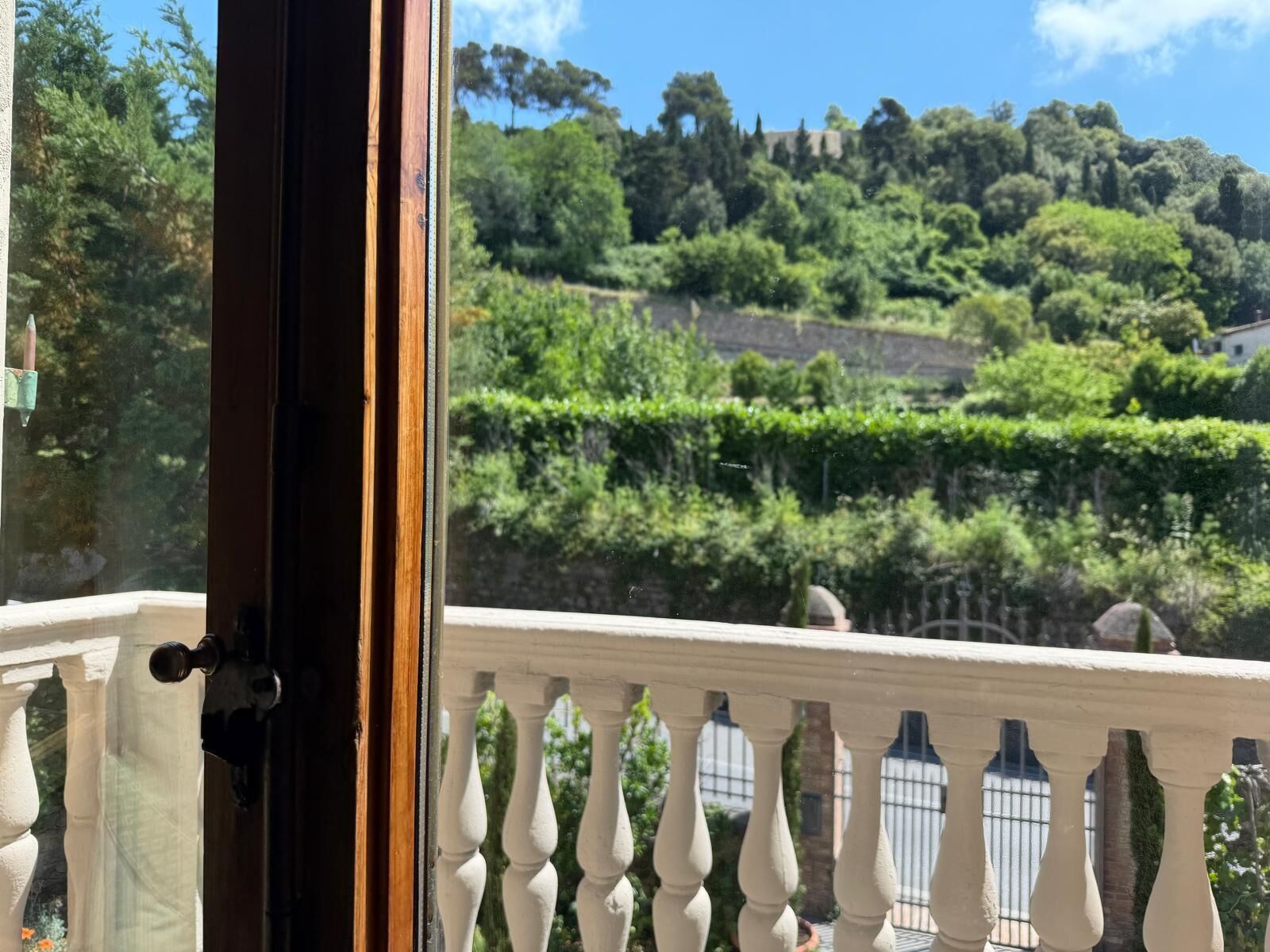 Vista a través de una ventana con baranda, un viñedo y una colina con árboles.