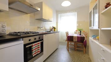 Classic Apartment, 1 Queen Bed with Sofa bed, Non Smoking, Kitchen | Private kitchen