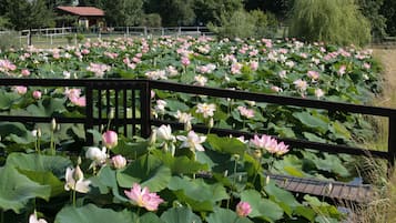 Jardín