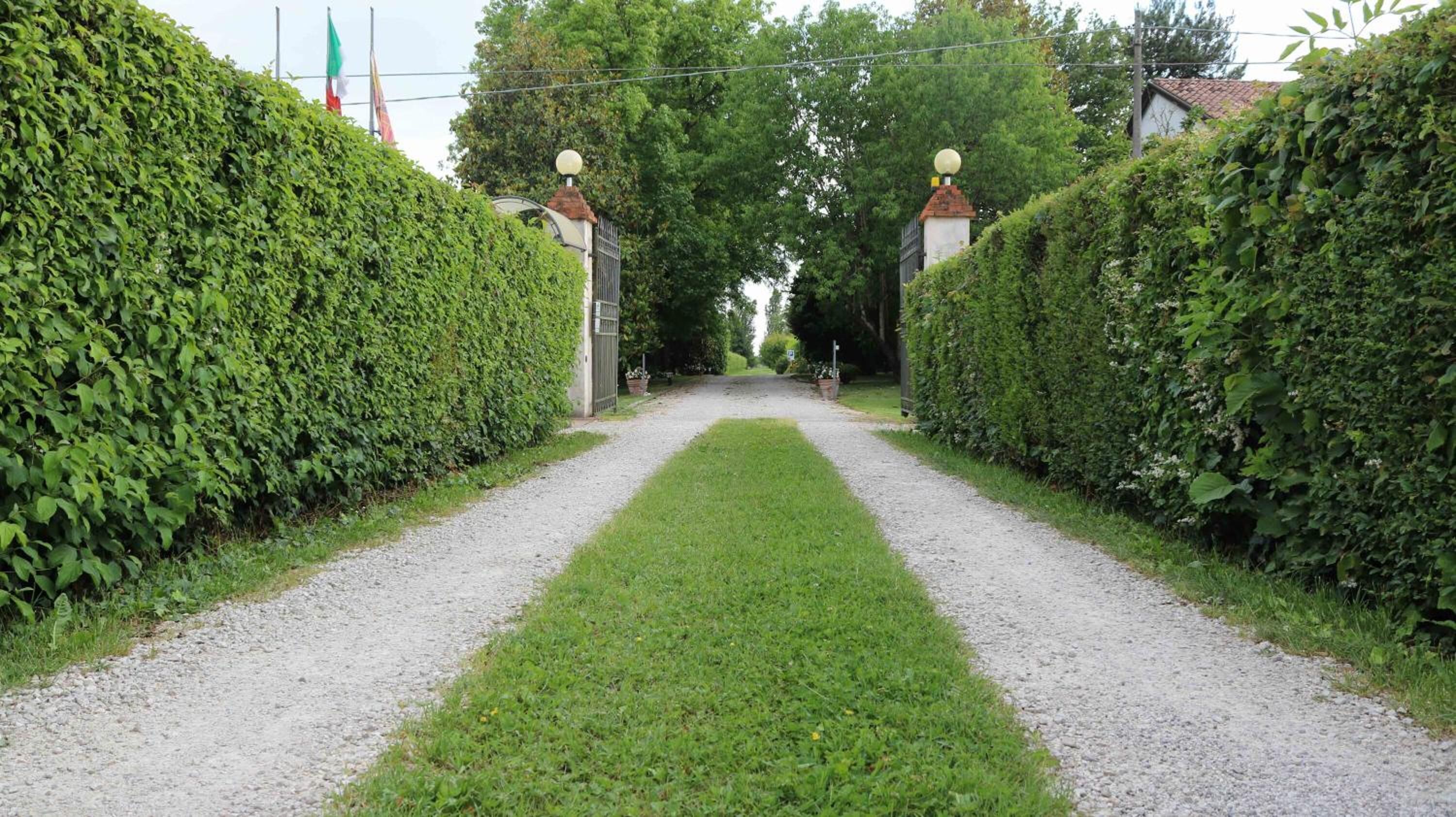A gravel pathway flanked by neatly trimmed hedges leading to a gated entrance.