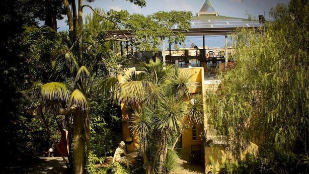 A tropical garden with a pathway leading to a building with a sloped roof. - Marchese d'Altavilla (Drapia)