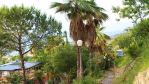 A pathway leading through a lush garden with a palm tree and a lamp post. - Marchese d'Altavilla (Drapia)