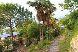 Property grounds - Marchese d'Altavilla (Drapia)