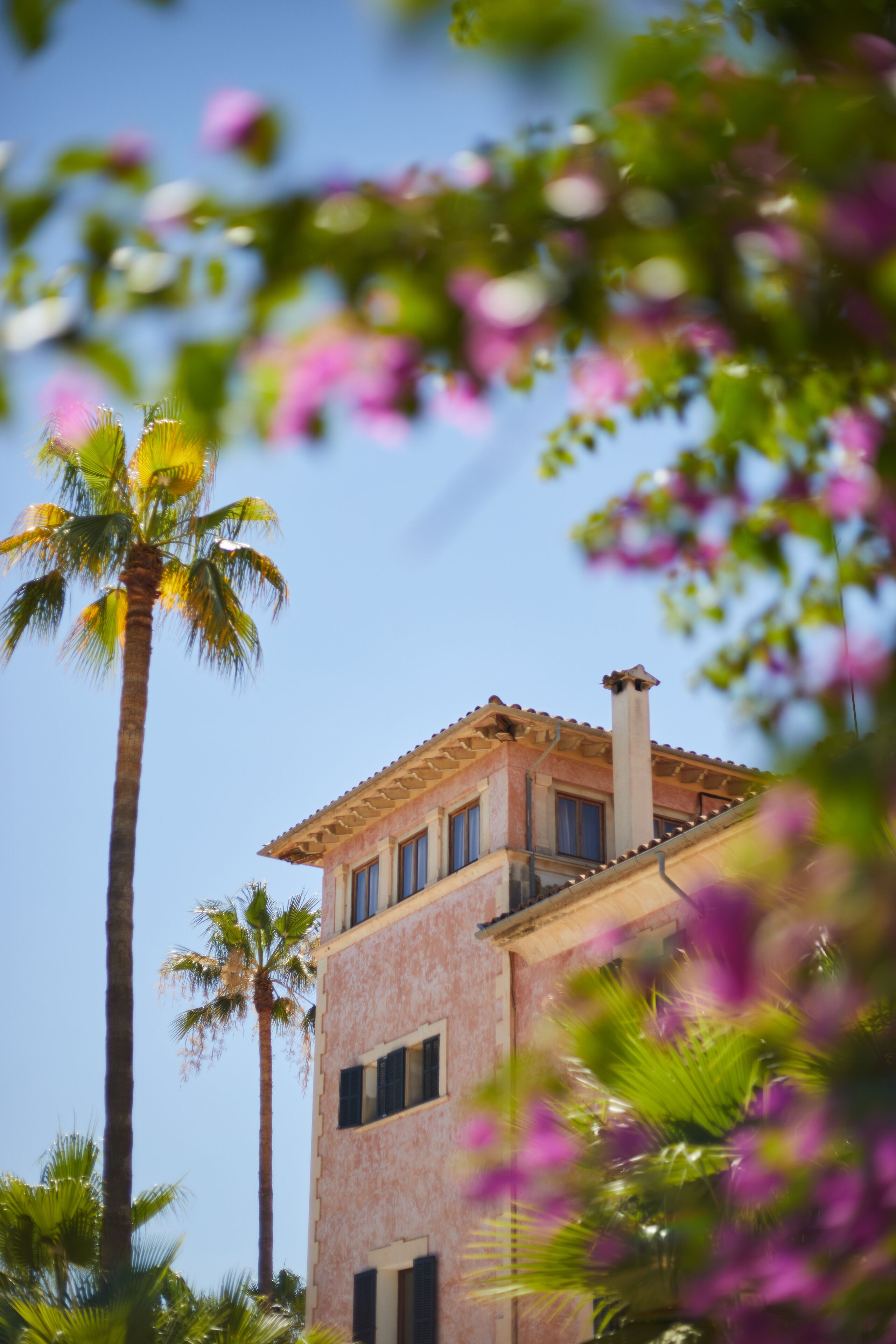 Un edificio con techo de tejas y múltiples ventanas, rodeado de palmeras y plantas con flores.