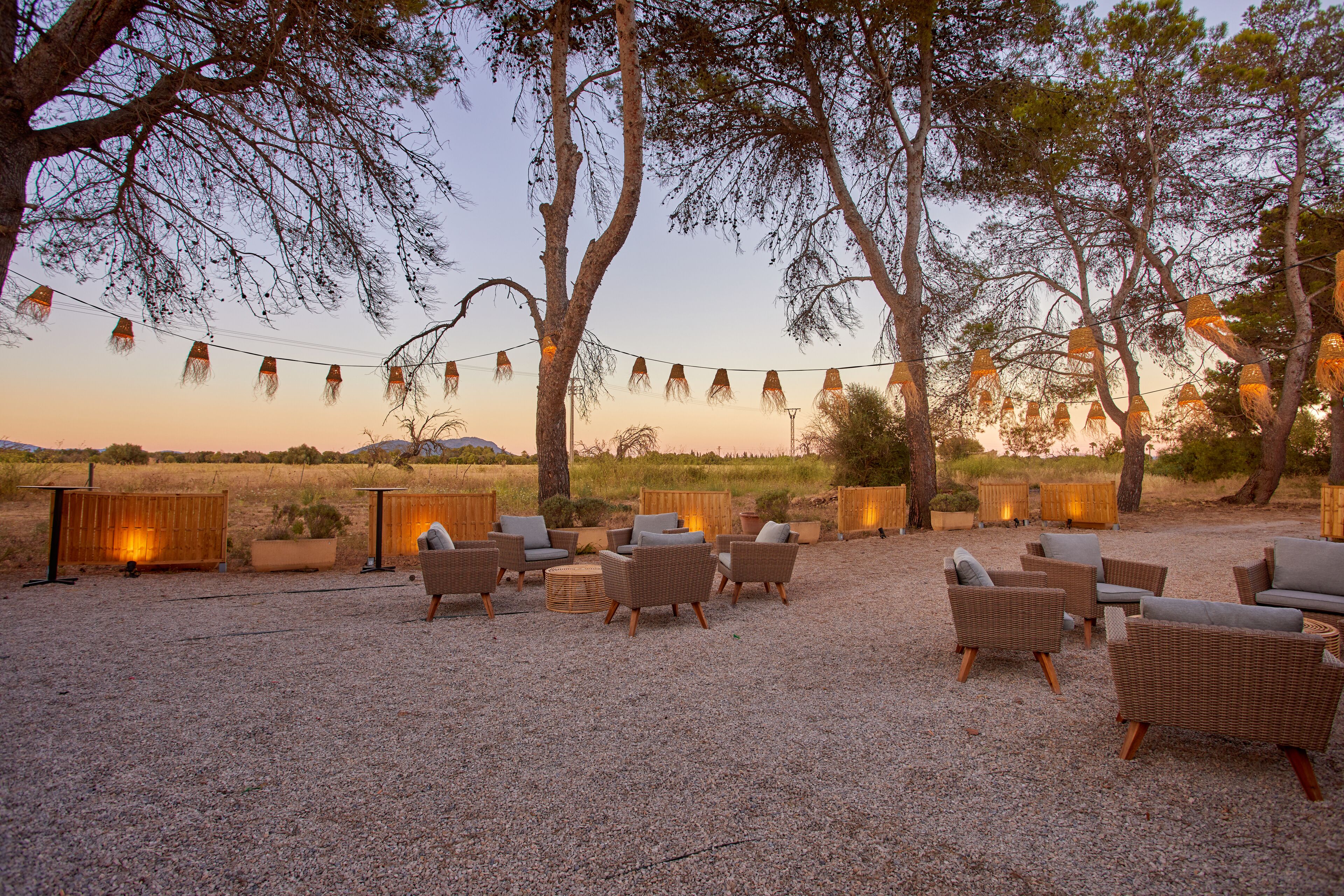 outdoor wedding area