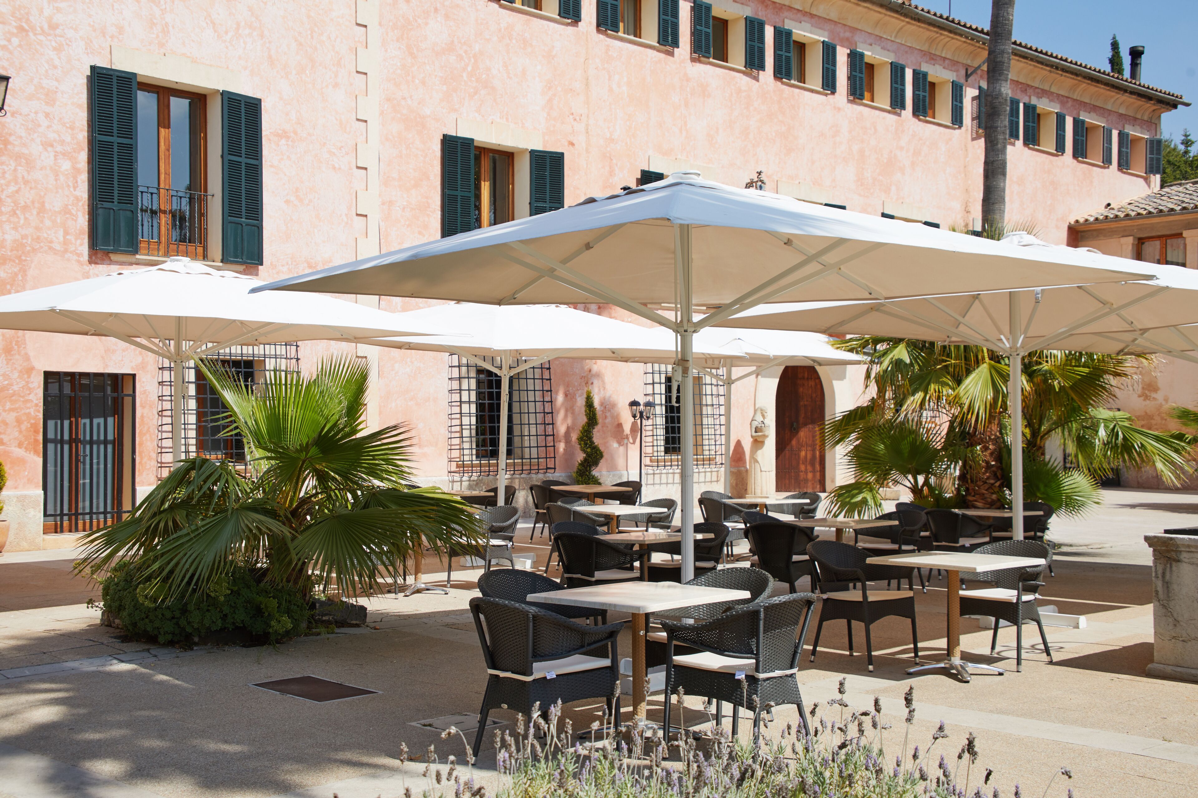 An outdoor café area with tables and chairs under umbrellas, surrounded by palm trees and a pink building with shutters.