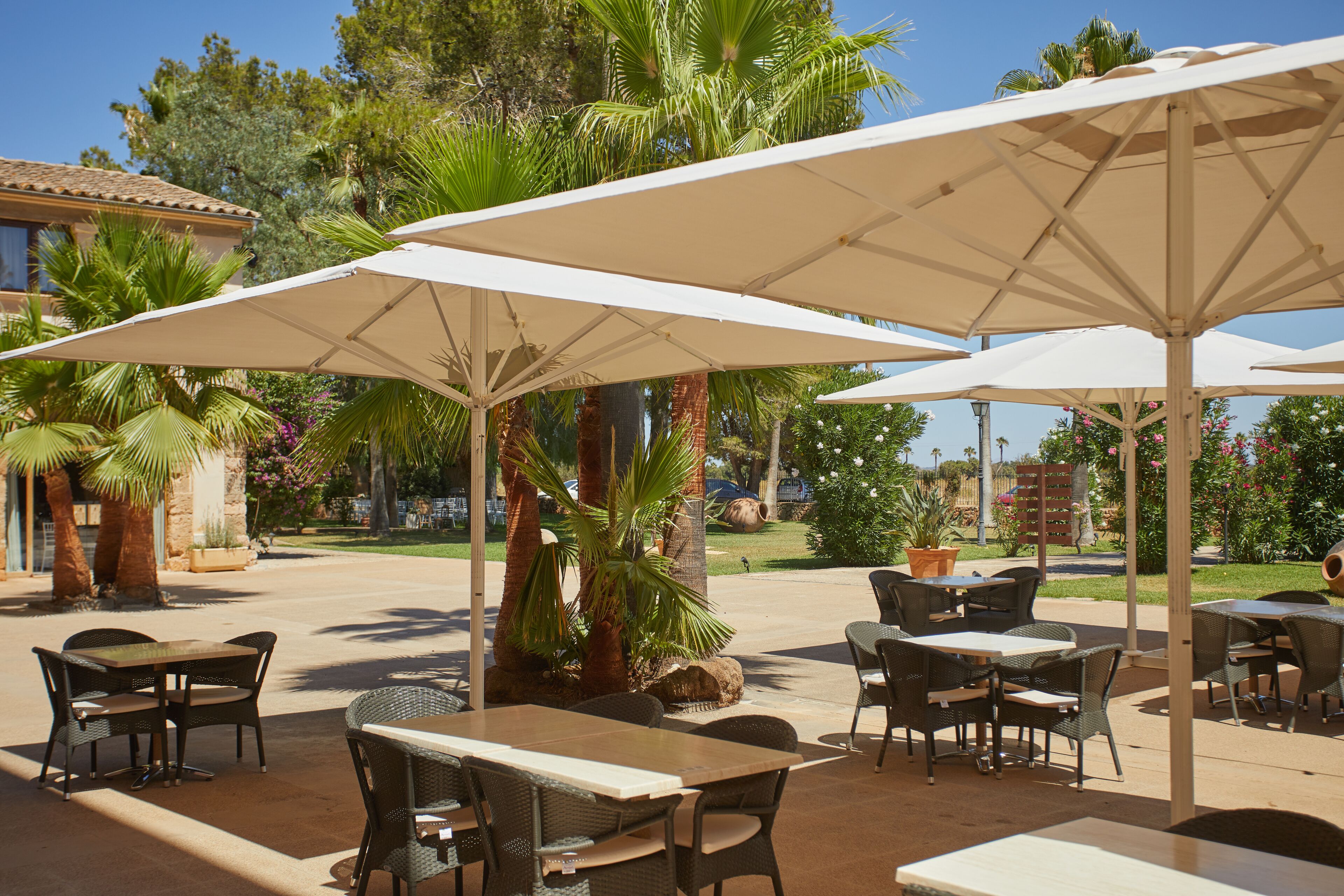 An outdoor patio area with tables and chairs under large umbrellas, surrounded by palm trees and potted plants.