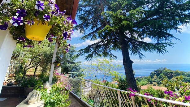 A balcony with hanging purple flowers, a view of a large tree, and a distant landscape. - Scilla e Cariddi Bed&Breakfast (Messina)