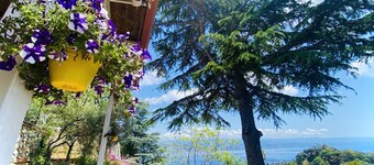 Scilla e Cariddi Bed&Breakfast