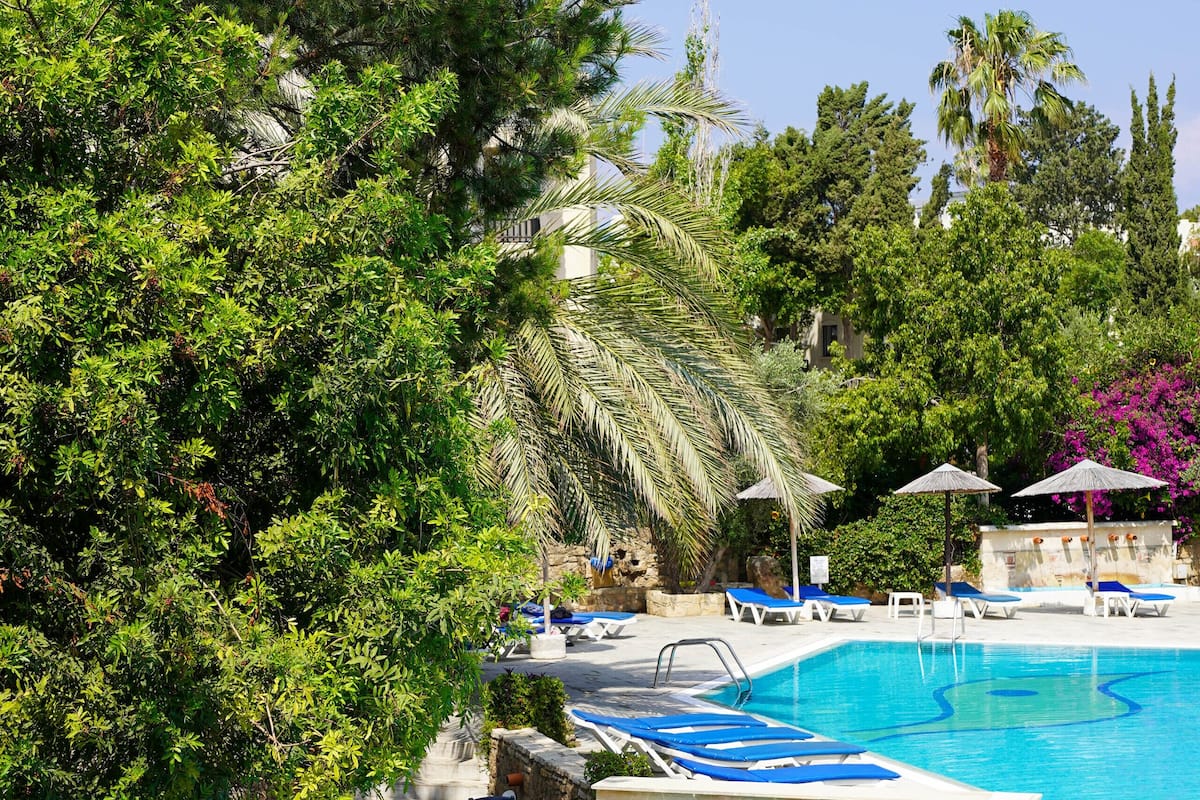 A pool area with blue lounge chairs and umbrellas, surrounded by lush greenery and trees.