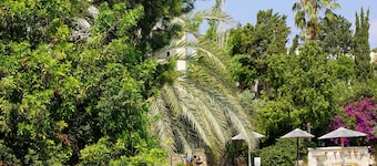 Basilica Holiday Resort