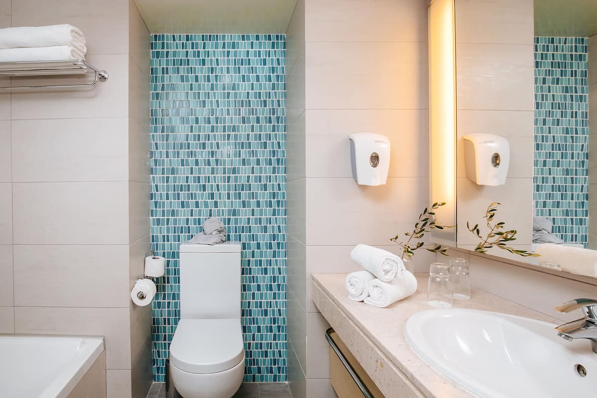 eco-friendly toiletries, hair dryer, towels, toilet paper