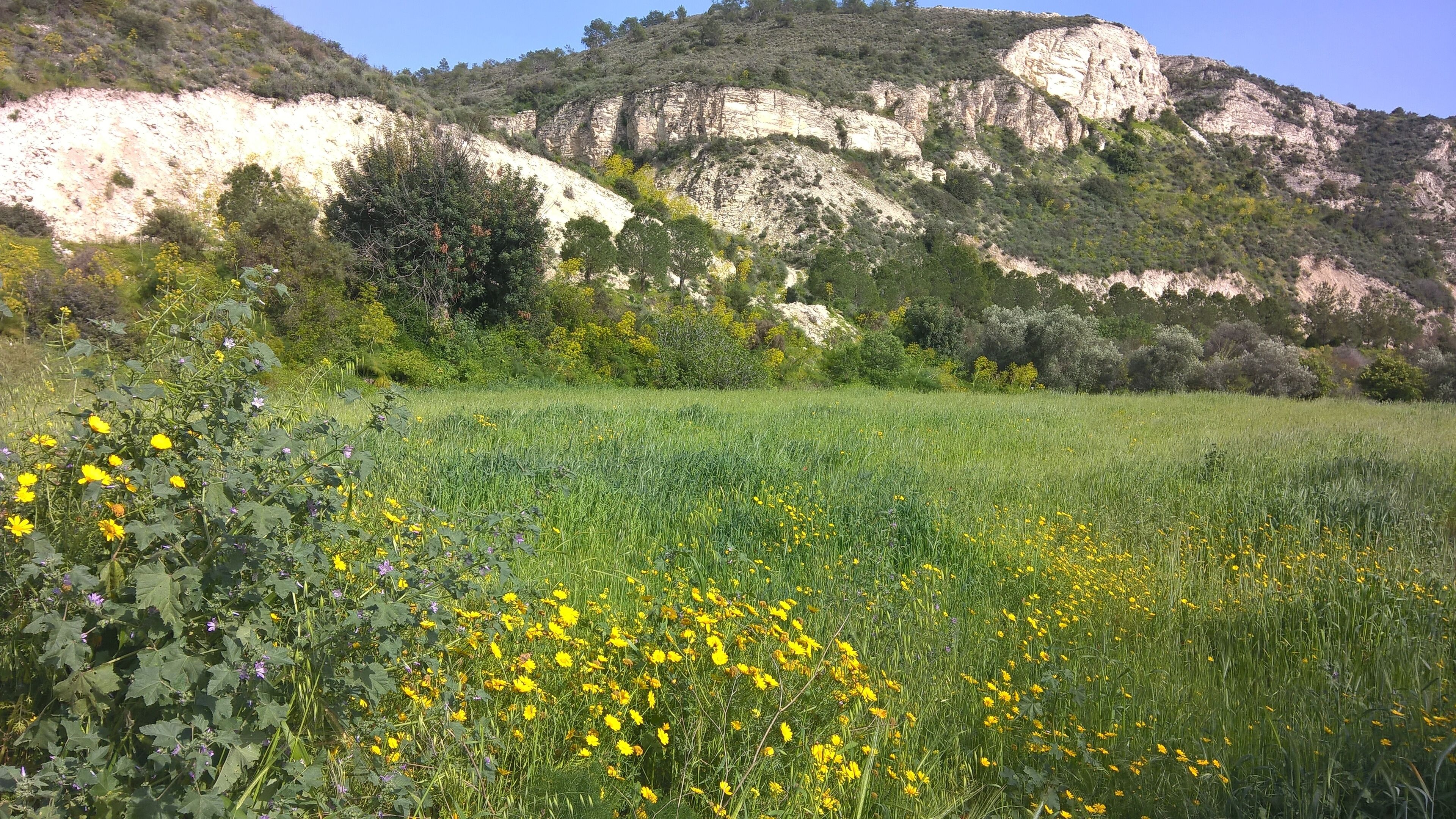 land view from property