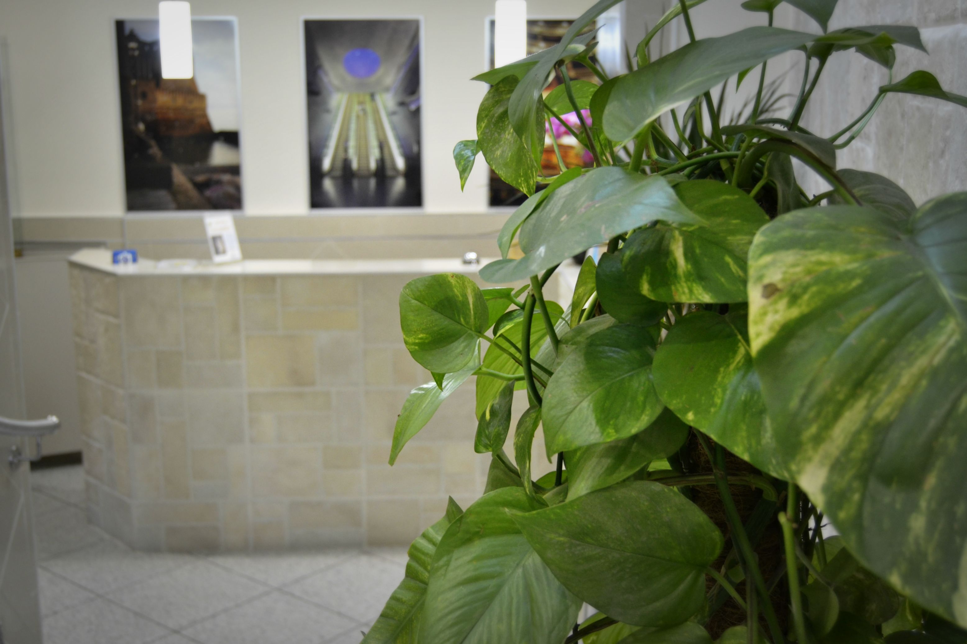 Foto - Hotel Colombo