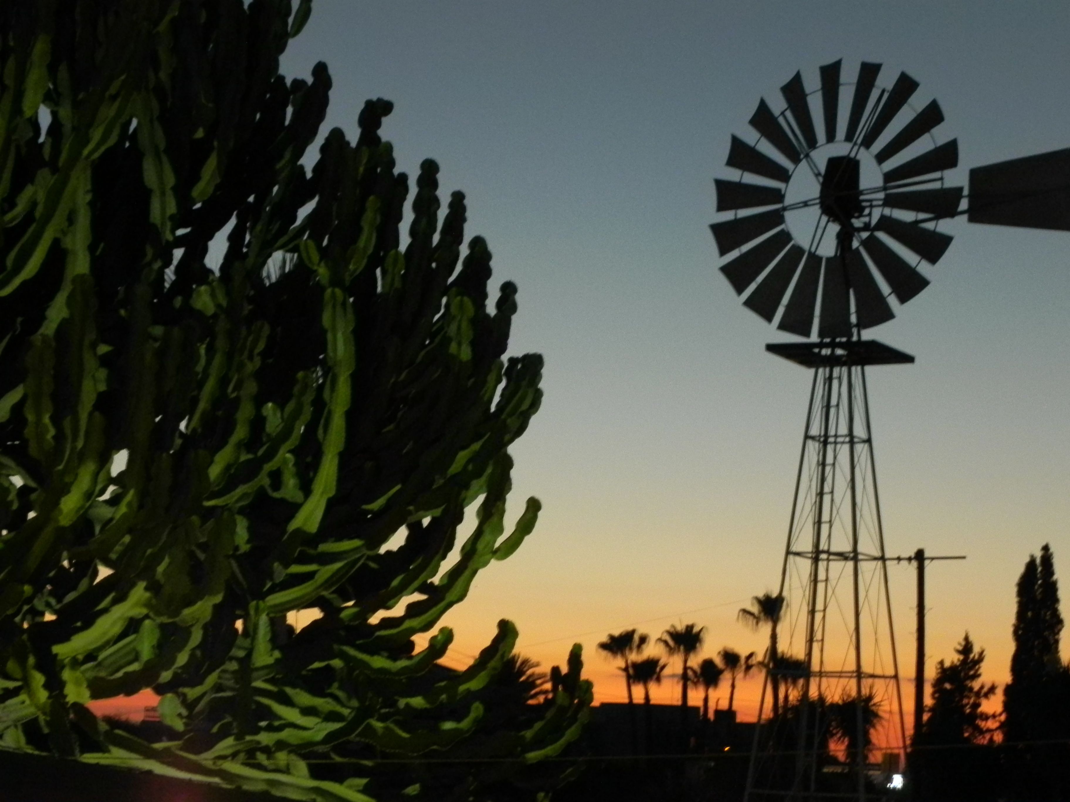 Silueta de un molino de viento contra un cielo de atardecer, con un cactus en primer plano.
