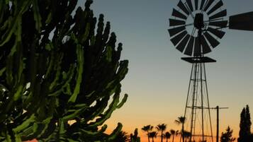 Silueta de un molino de viento contra un cielo de atardecer, con un cactus en primer plano.