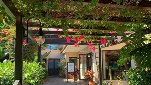 A covered outdoor area with a stone floor, a bench, and potted plants. - Vila Ventura Apartment Hotel (Santa Cruz)