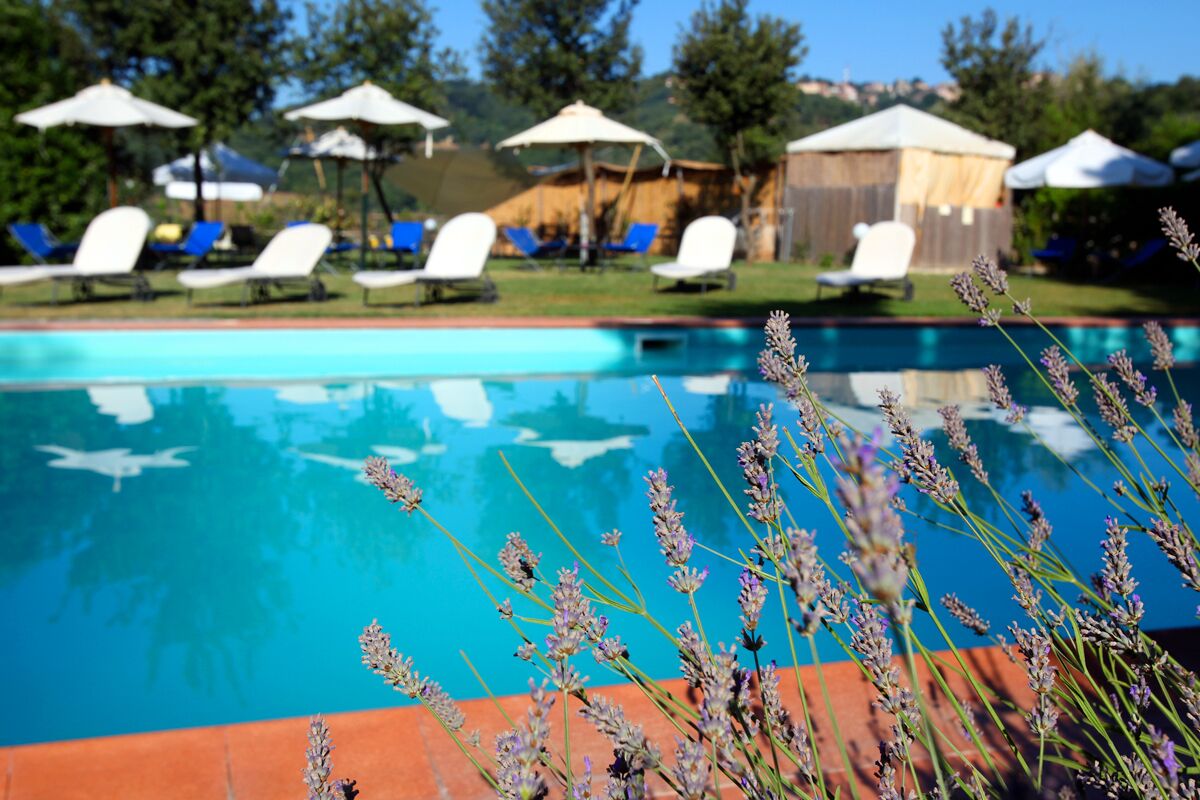 Piscine couverte, piscine extérieure (ouverte en saison)