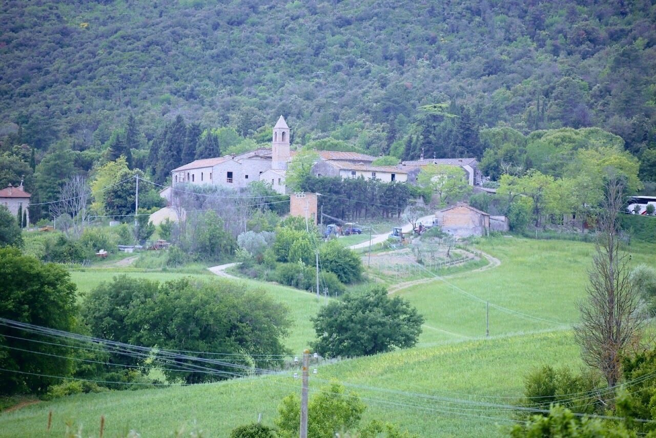 Foto - Fattoria San Donato