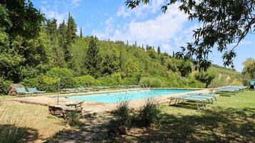 Alberca al aire libre y camastros