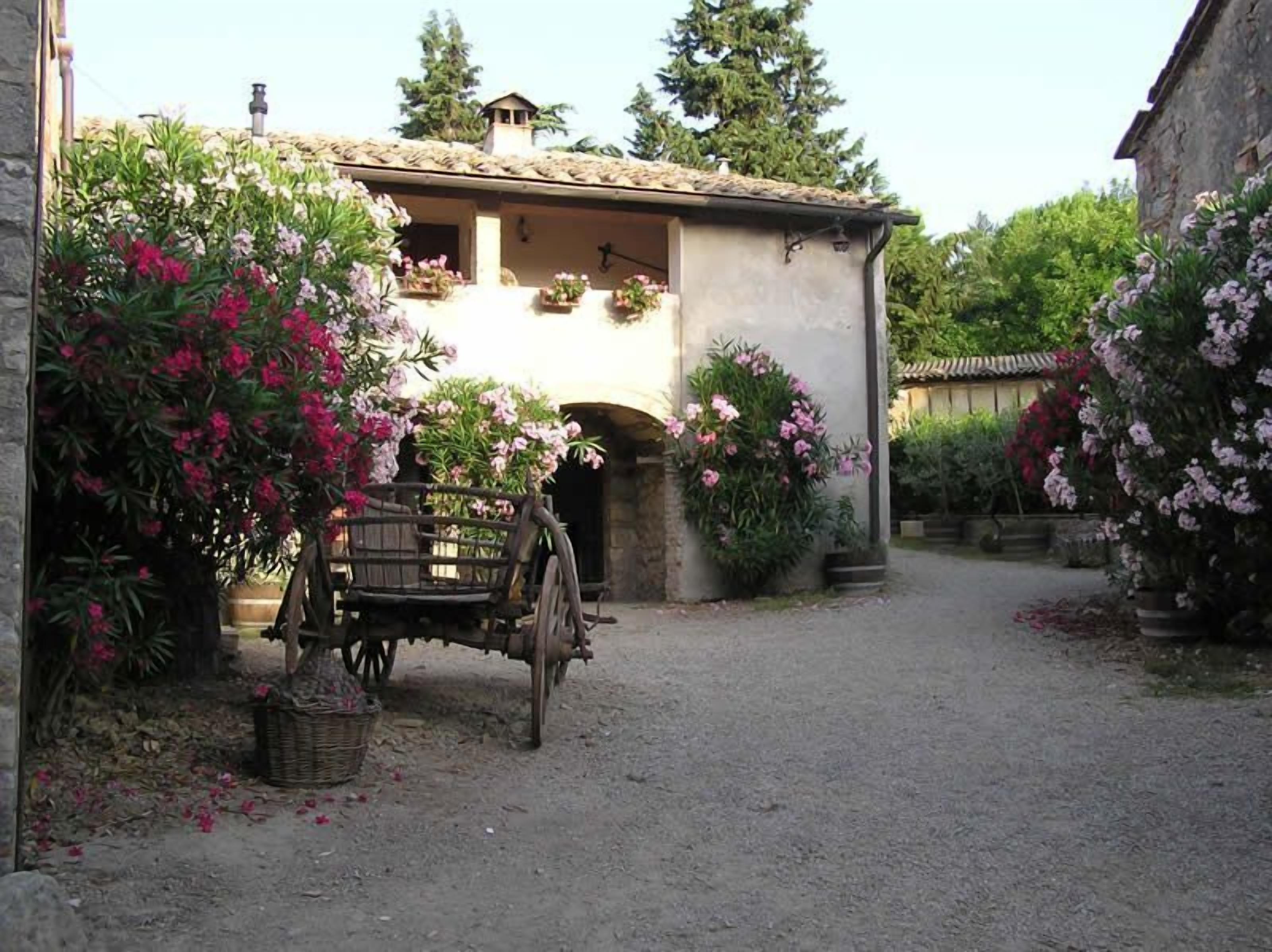 Foto - Fattoria San Donato