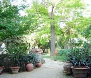 Property grounds - Fattoria San Donato (San Gimignano)