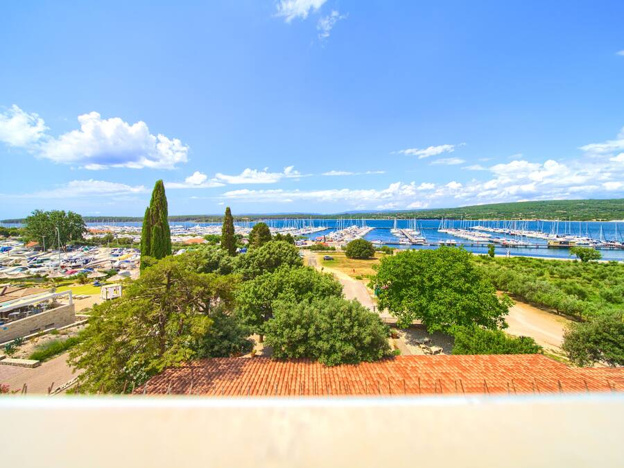 A coastal marina with boats docked, surrounded by greenery and a clear sky.
