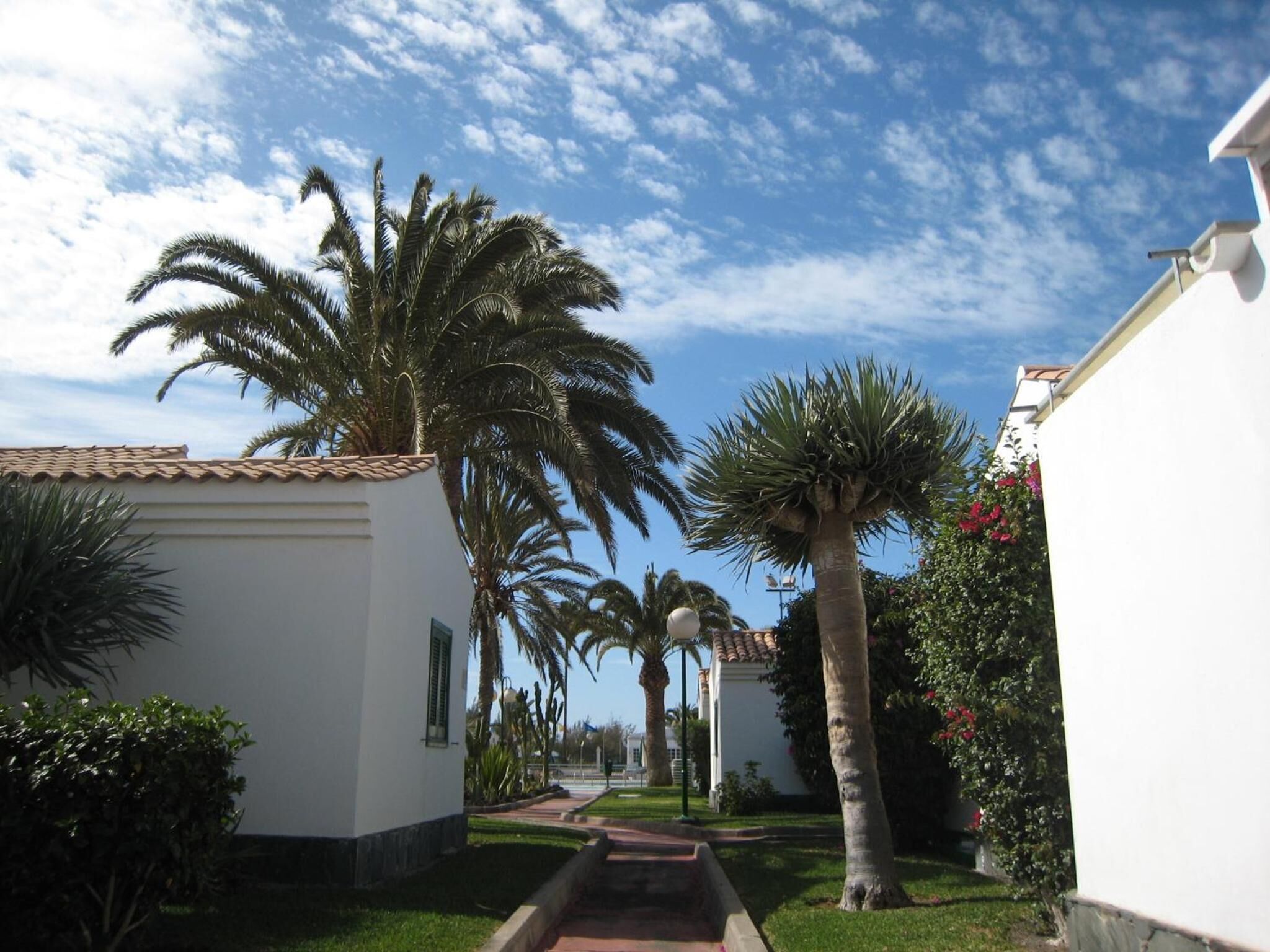 Photo - Bungalows Campo Golf