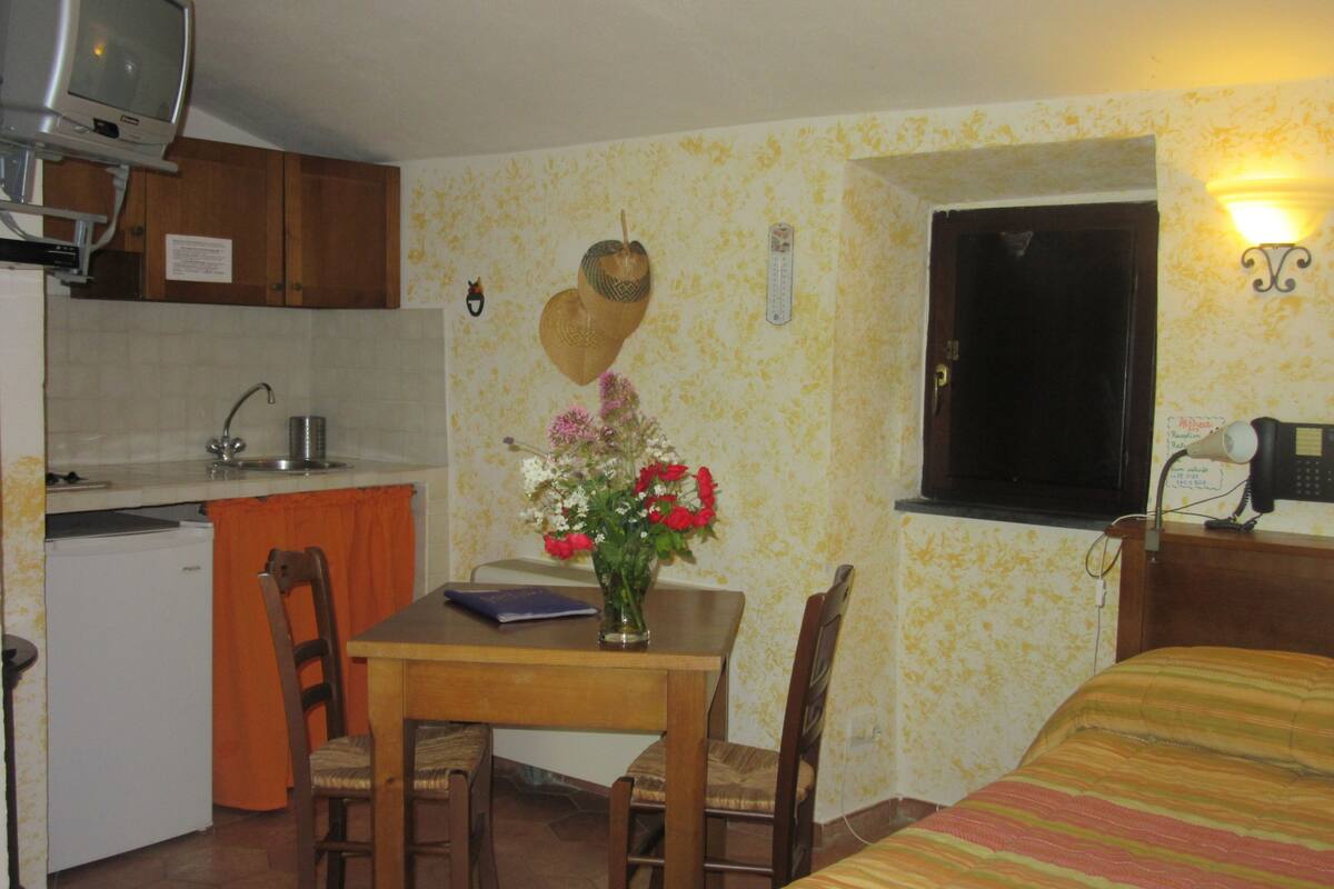 Une pièce de taille modeste comprenant un lit, une petite table avec des chaises, un coin cuisine avec un évier et une fenêtre avec un radiateur.