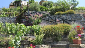 Un escalier en pierre avec une rampe en bois mène en haut d’une colline, et l’ensemble est entouré de diverses plantes et arbustes en fleurs.