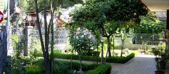 La Giara