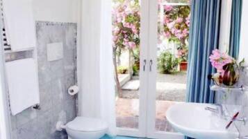 Ducha, artículos de tocador gratuitos, secador de pelo, bidet