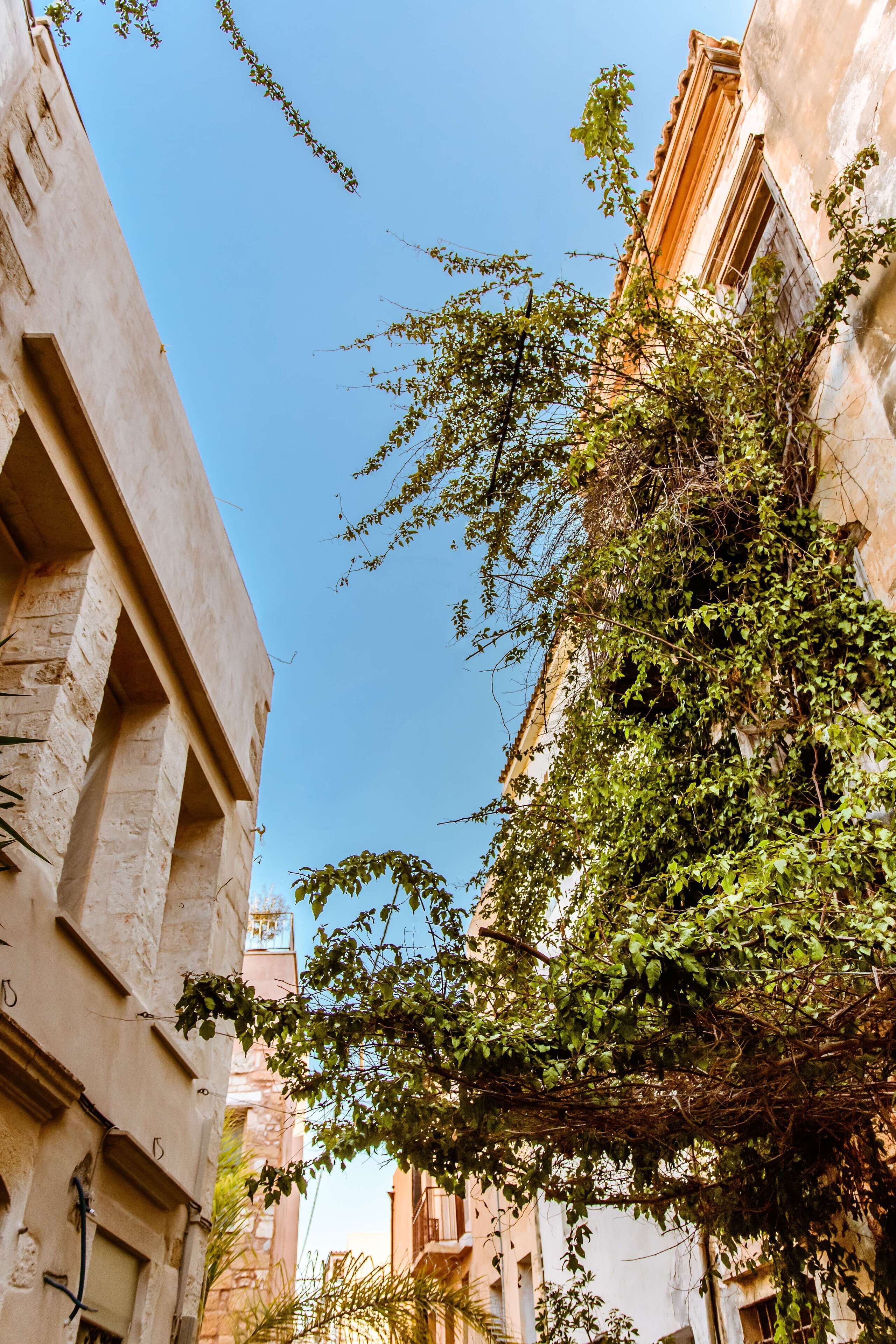 A narrow street with buildings on either side, one with a balcony and the other with a window.