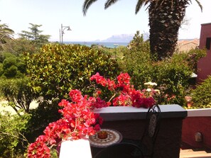 Vista desde la propiedad