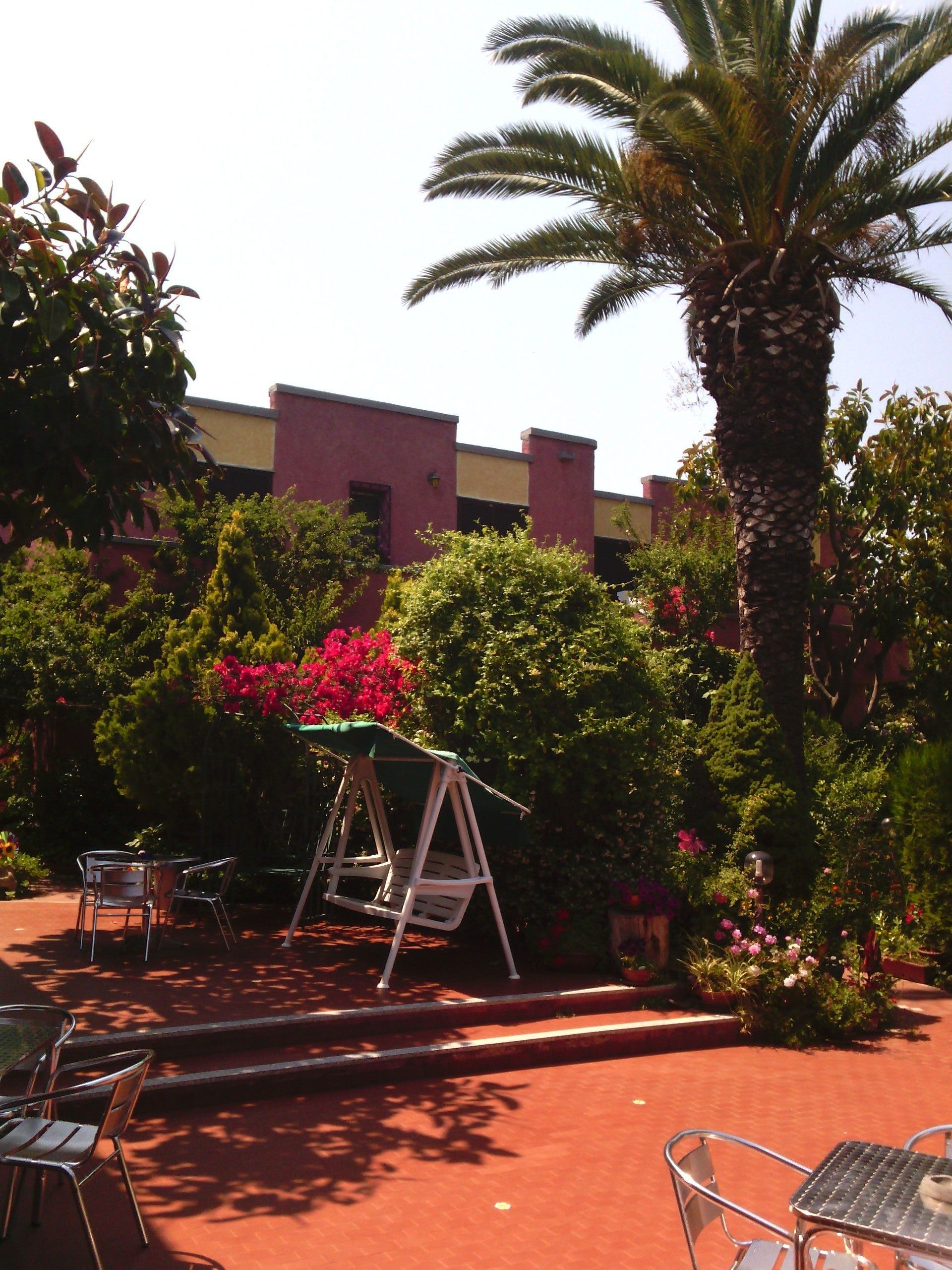 A patio area with outdoor seating, a swing, and a palm tree.